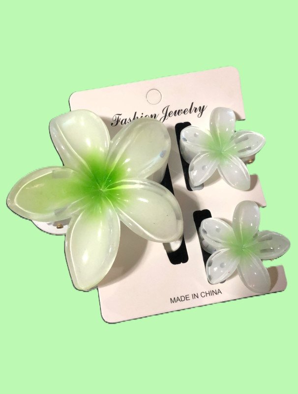 Barrette Cheveux Fashion Jewelry Medium 12pcs - A-28